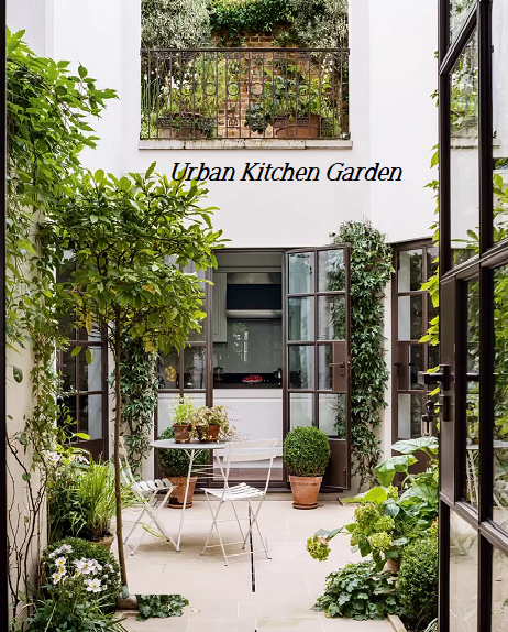 Urban Kitchen Garden - House and Garden